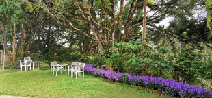 马来西亚槟城升旗山一角