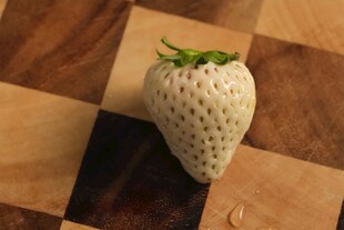 草莓