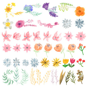 花朵素材