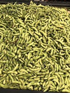 毛豆