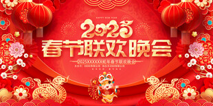 2025春节联欢晚会