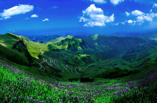 贵州省毕节韭菜坪