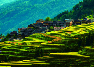 贵州省黔东南从江梯田