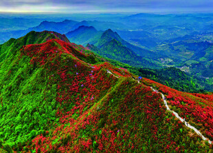 贵州省黔东南自治州丹寨县龙泉山
