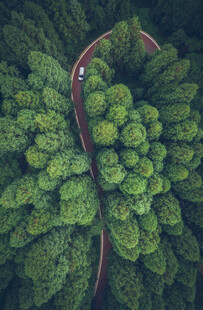 贵州省遵义市习水县