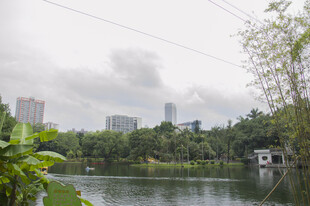 城区公园