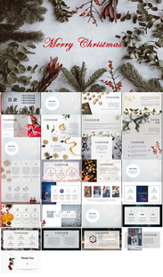 圣诞节活动策划ppt