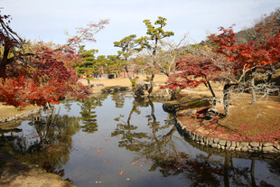 奈良公园秋景