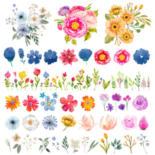彩绘花朵素材