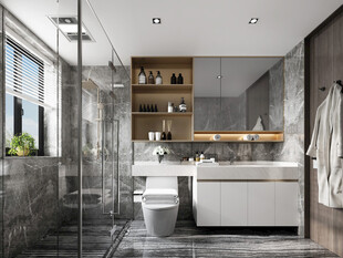 卫生间淋浴室厕所洗手间干湿分离