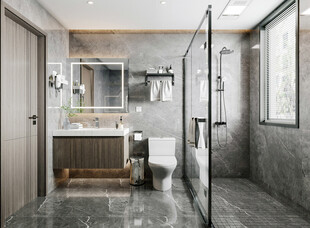 卫生间淋浴室厕所洗手间干湿分离