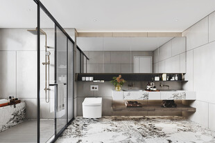 卫生间淋浴室厕所洗手间干湿分离