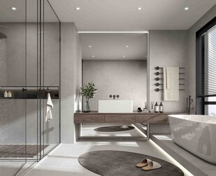 卫生间淋浴室厕所洗手间干湿分离