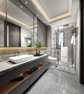 卫生间淋浴室厕所洗手间干湿分离