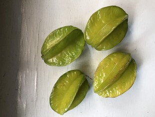 杨桃