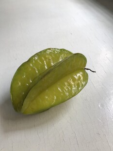 杨桃