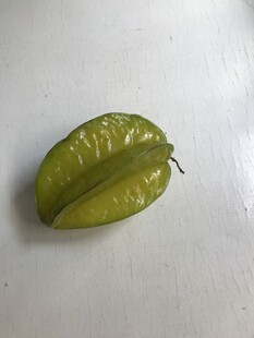 杨桃
