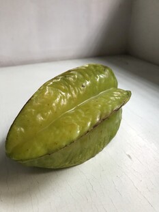 杨桃
