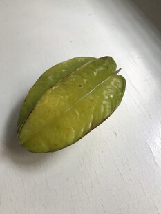 杨桃