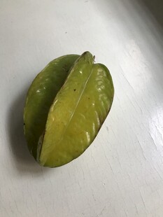 杨桃