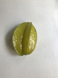 杨桃