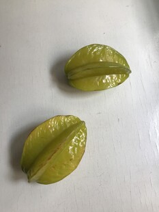 杨桃