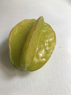 杨桃