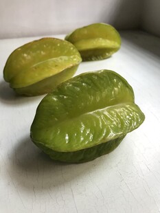 杨桃