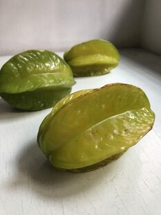 杨桃