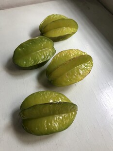 杨桃