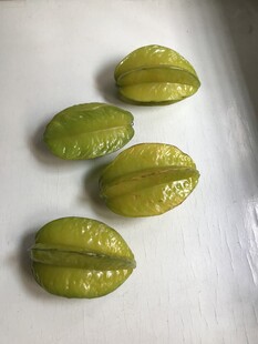 杨桃