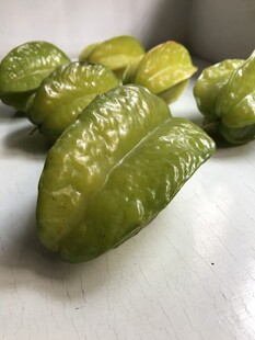 杨桃