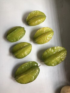 杨桃