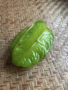 杨桃