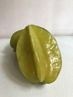 杨桃