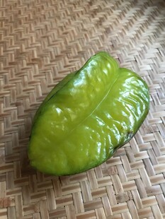 杨桃