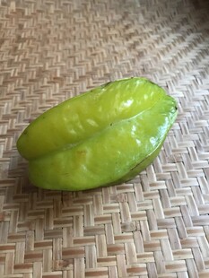 杨桃