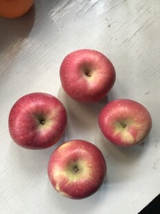 苹果 红富士