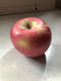 苹果 红富士