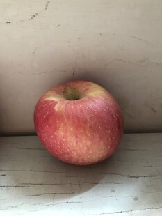 苹果 红富士