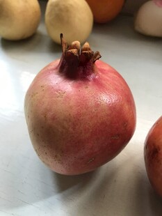 石榴