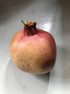 石榴