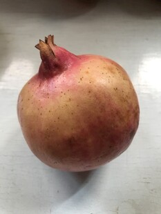 石榴