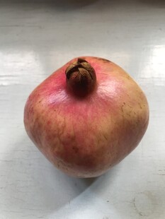 石榴