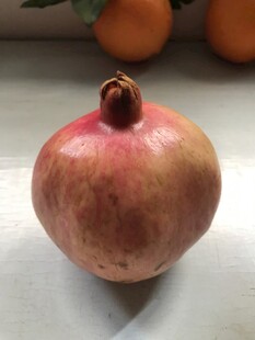 石榴