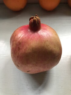 石榴