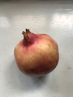 石榴