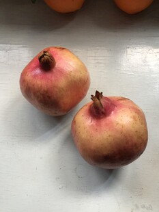 石榴