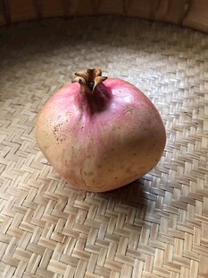石榴