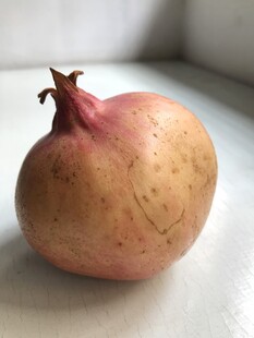 石榴